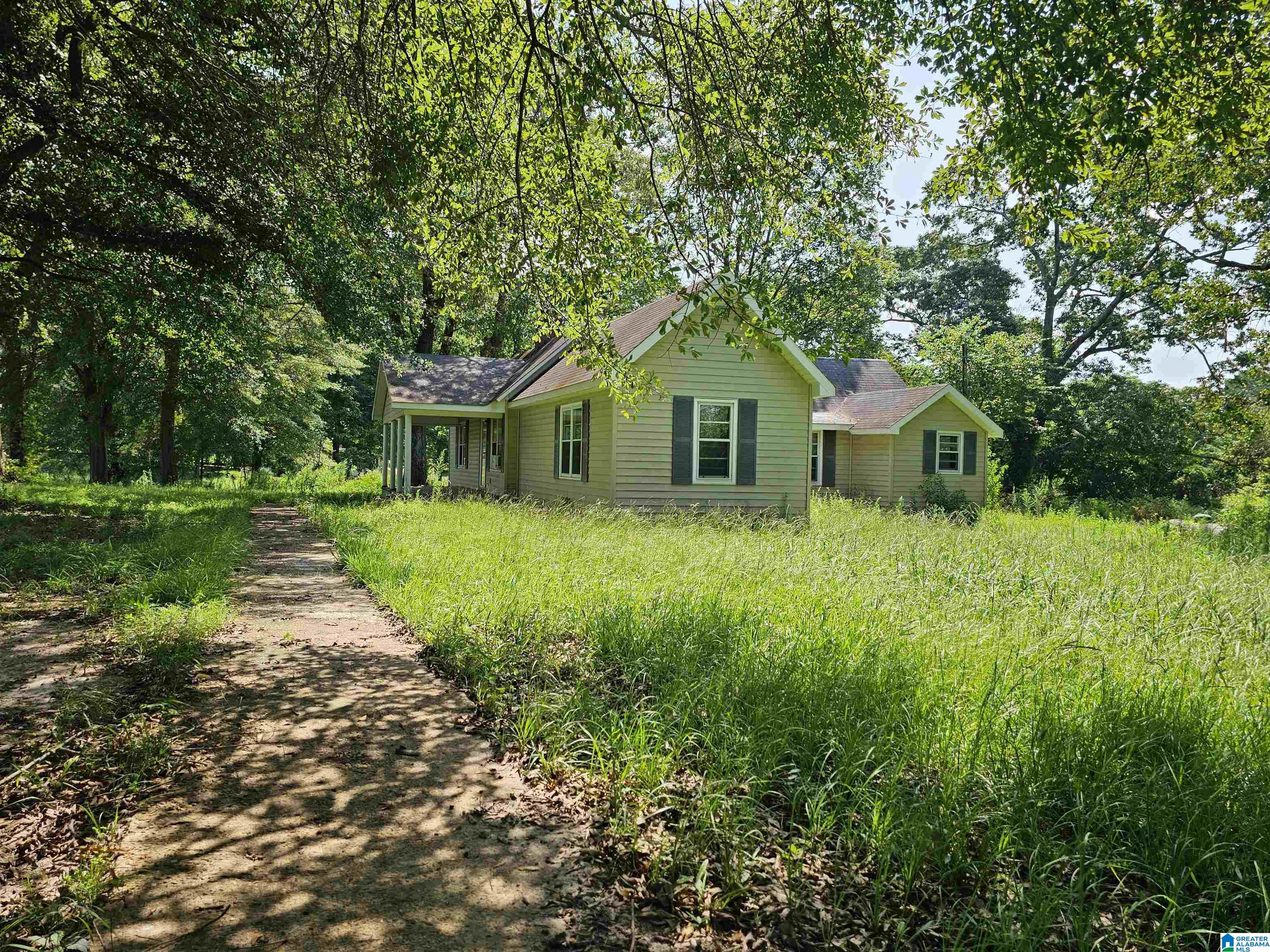 22302 Main Street Ranburne, AL 36273 - Photo 2 of 16