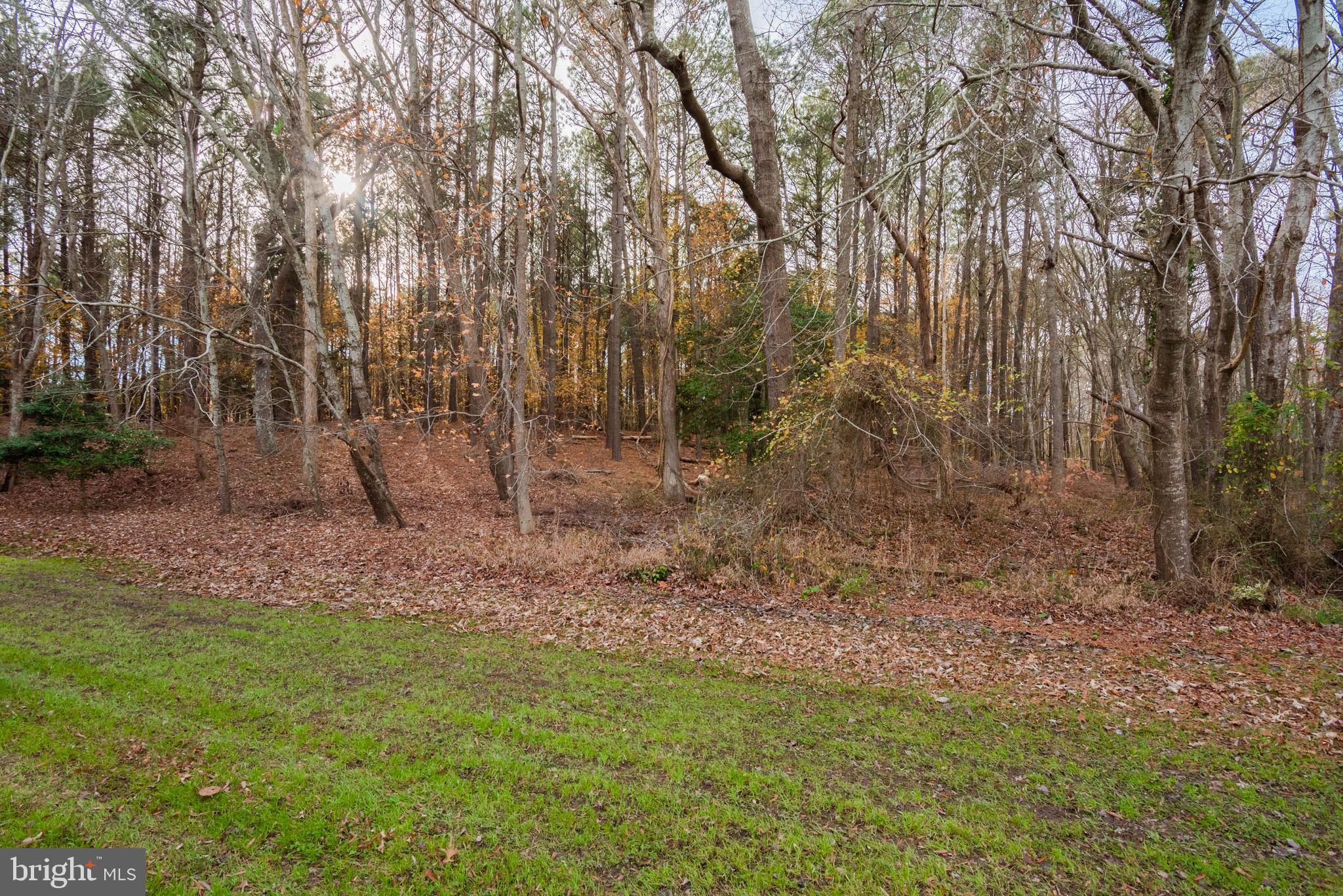 8945 Lewis Road Berlin, MD 21811 - Photo 60 of 71 Gallery Image 60