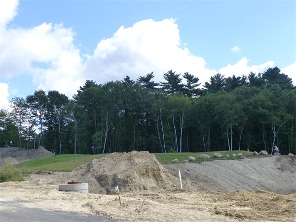 53 Baldwin Road, Unit 1703 Billerica, MA 01821 - Photo 5 of 15 a backyard of a house with lots of green space