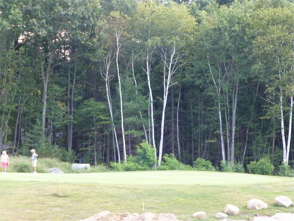 53 Baldwin Road, Unit 1703 Billerica, MA 01821 - Photo 6 of 15 a view of a house with a backyard and a tree