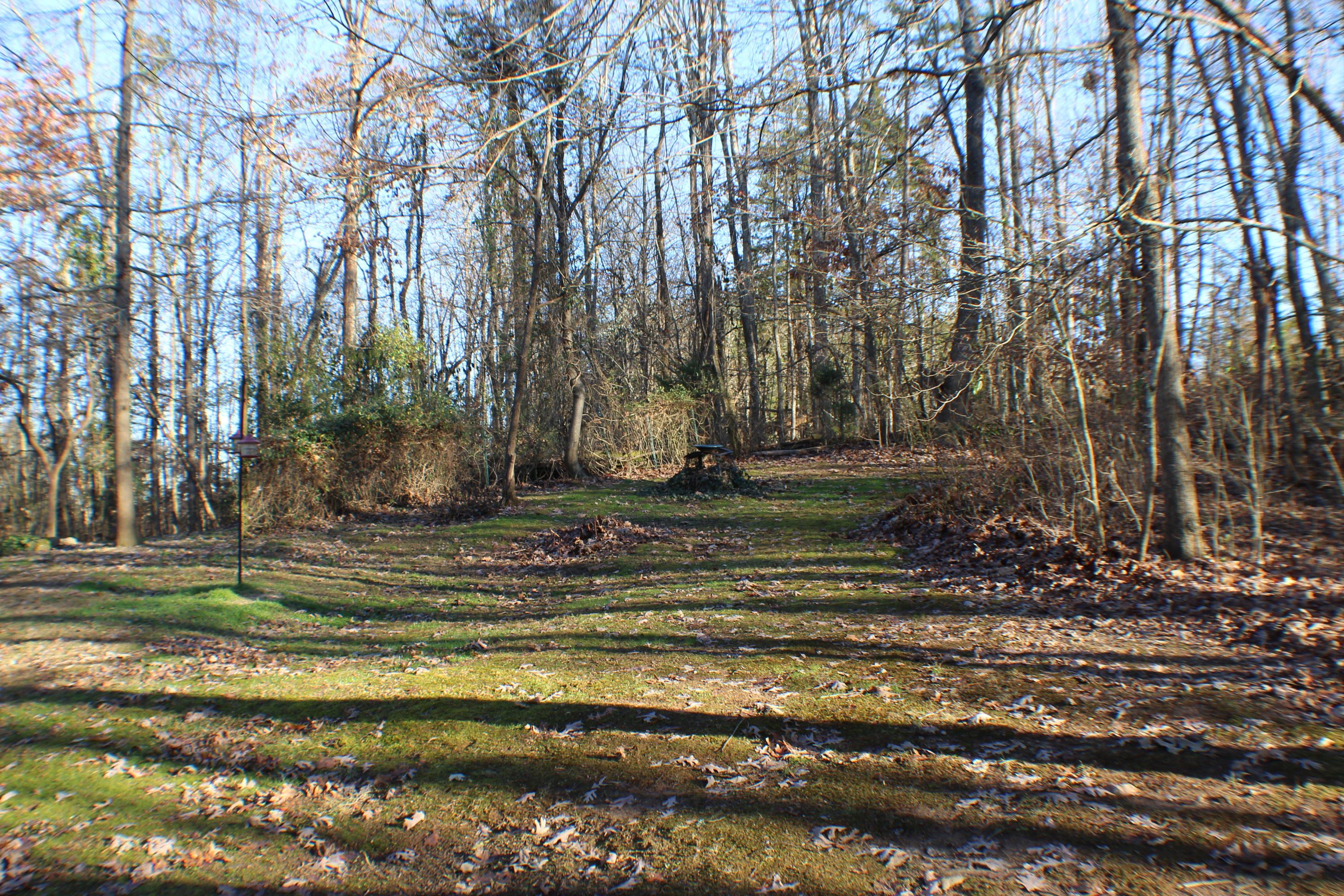 146 Cedar Lane Road Madisonville, TN 37354 - Photo 8 of 38 IMG_1604