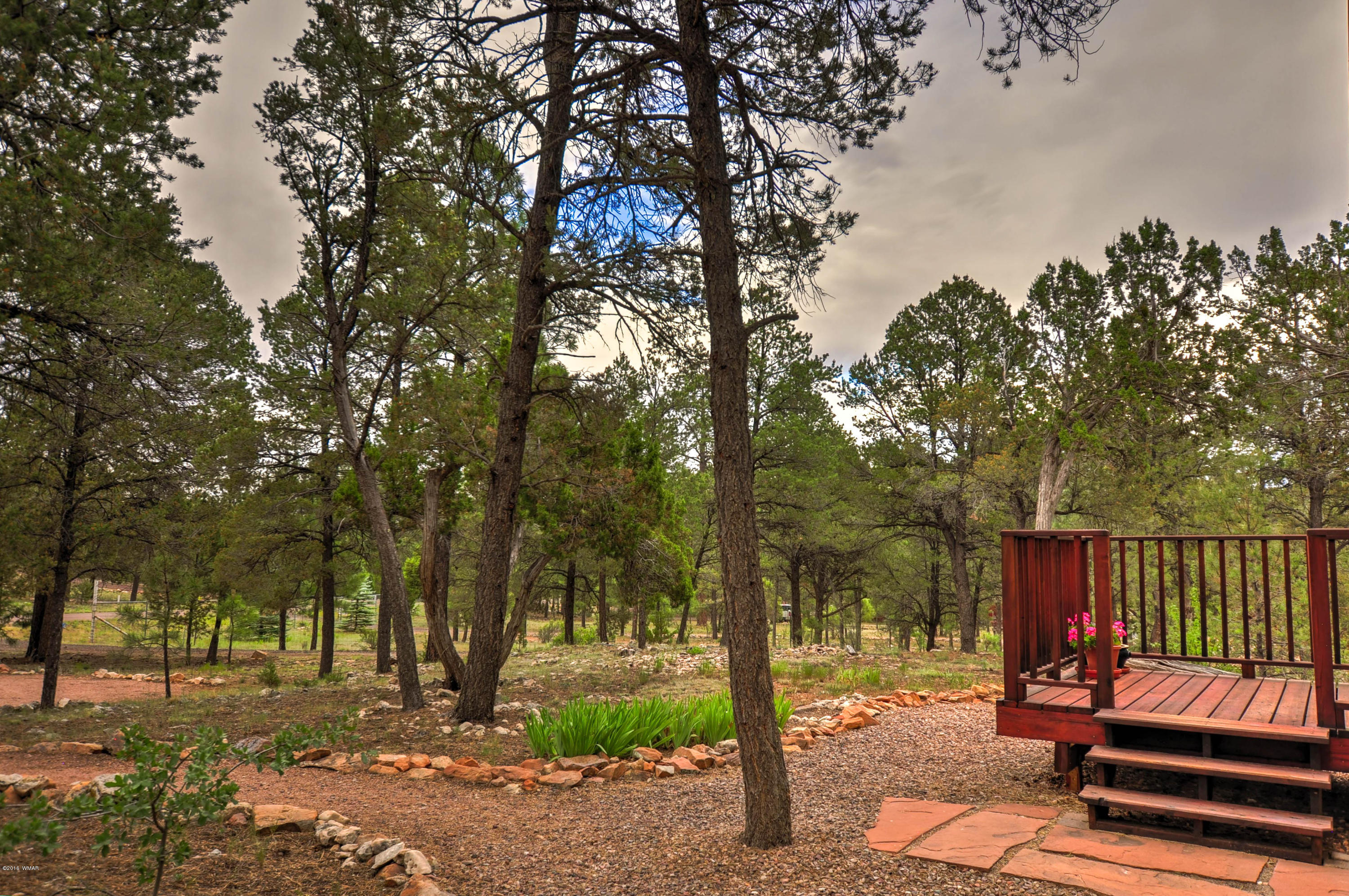 3013 Aspen Road Overgaard, AZ 85933 - Photo 38 of 41 Gallery Image 38