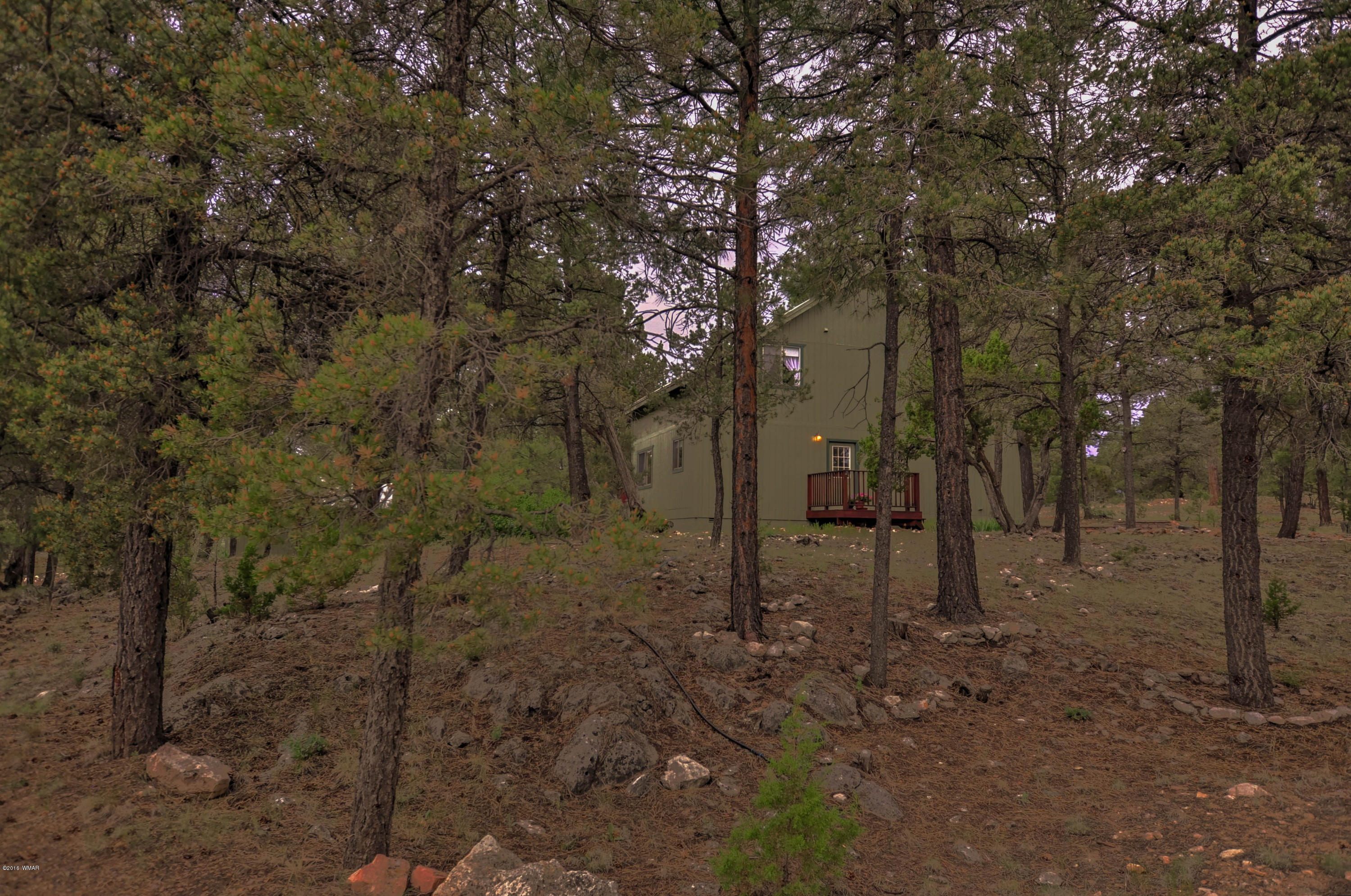 3013 Aspen Road Overgaard, AZ 85933 - Photo 40 of 41 Gallery Image 40