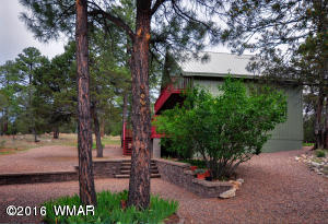 3013 Aspen Road Overgaard, AZ 85933 - Photo 41 of 41 Gallery Image 41