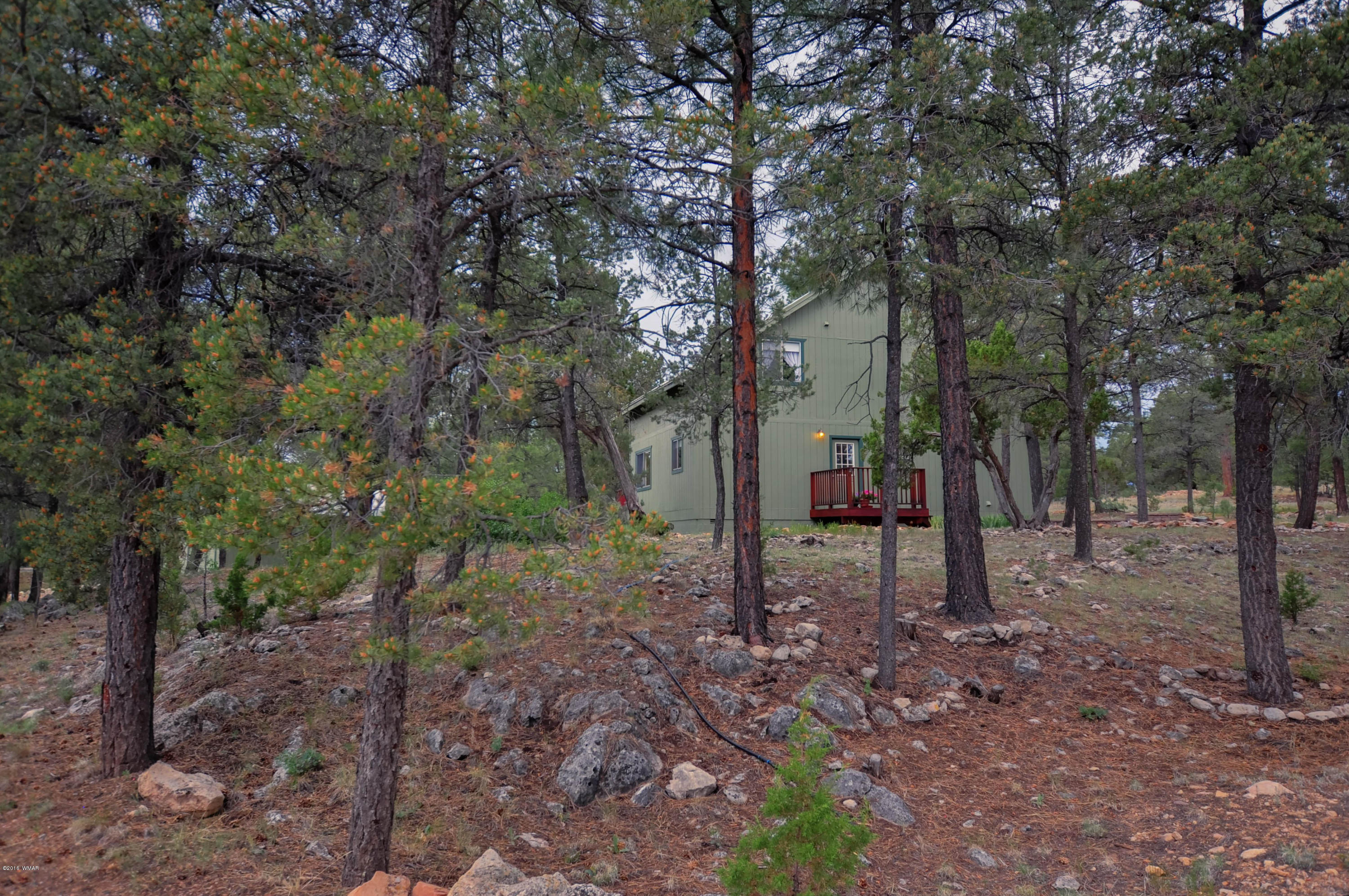 3013 Aspen Road Overgaard, AZ 85933 - Photo 9 of 41 Gallery Image 9