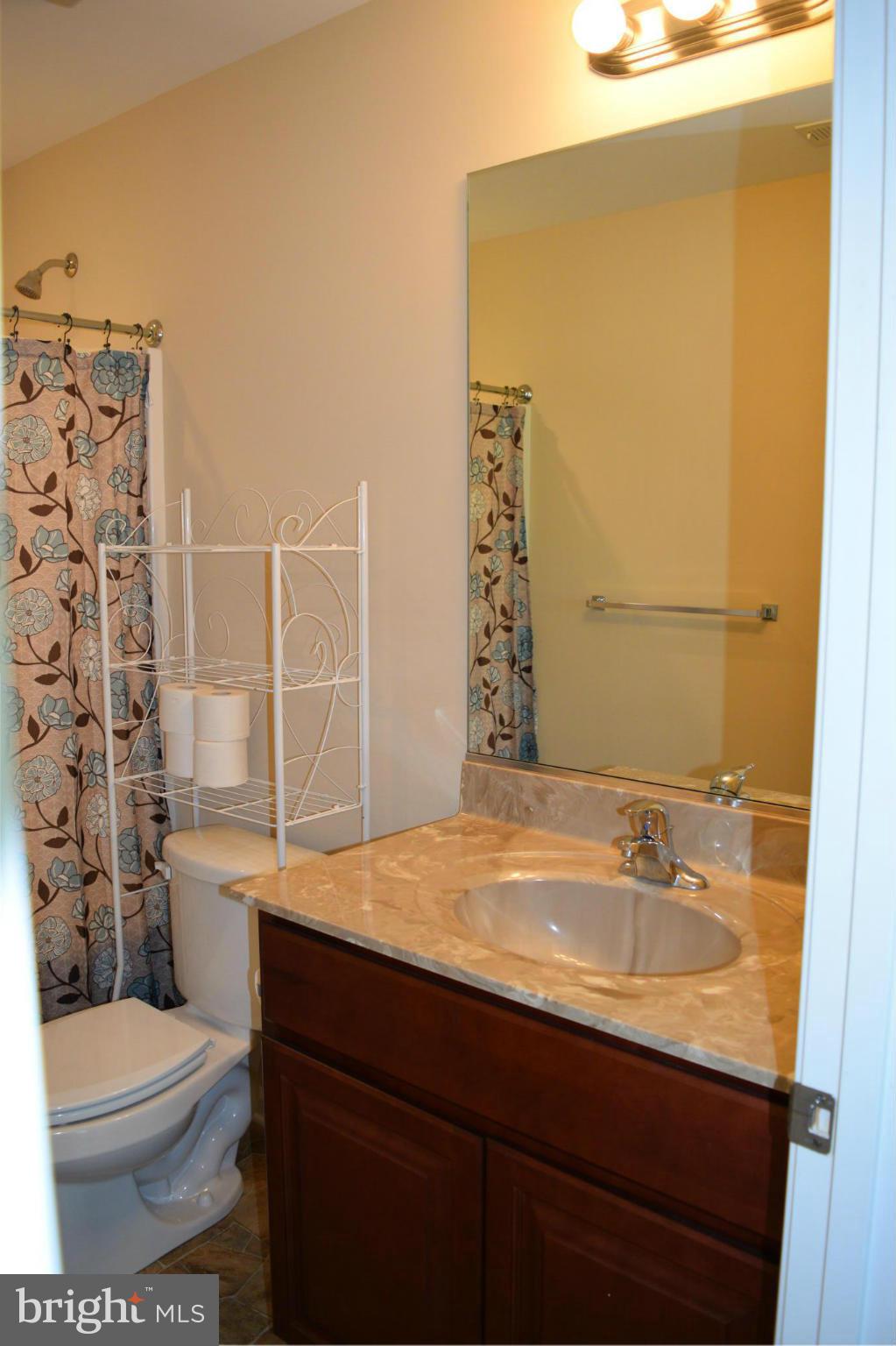 23065 Briscoe Farm Lane Ridgely, MD 21660 - Photo 17 of 27 Bath