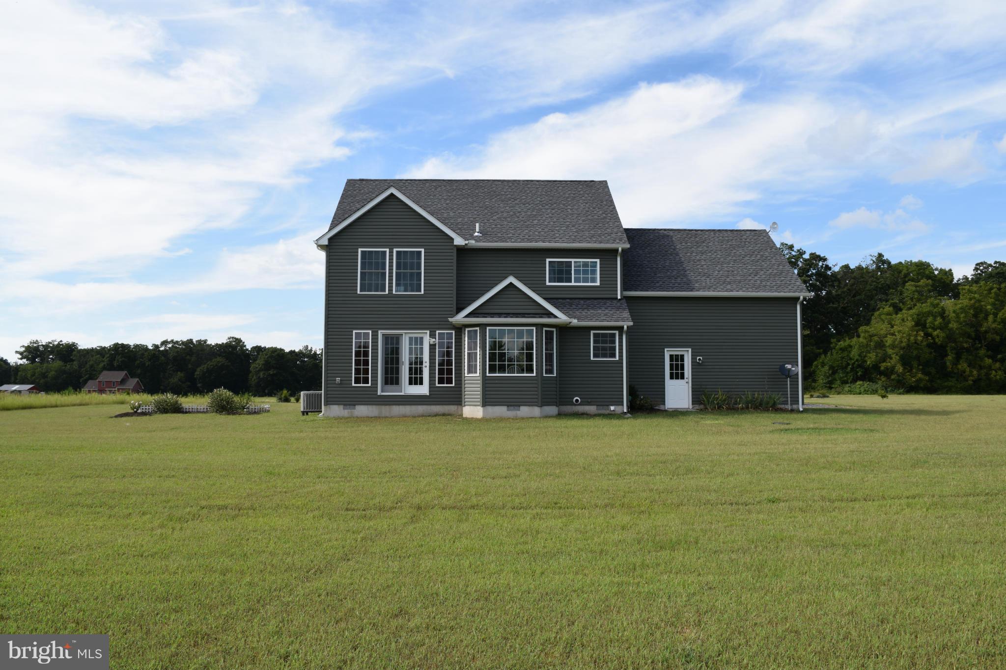 23065 Briscoe Farm Lane Ridgely, MD 21660 - Photo 3 of 27 Exterior (Rear)