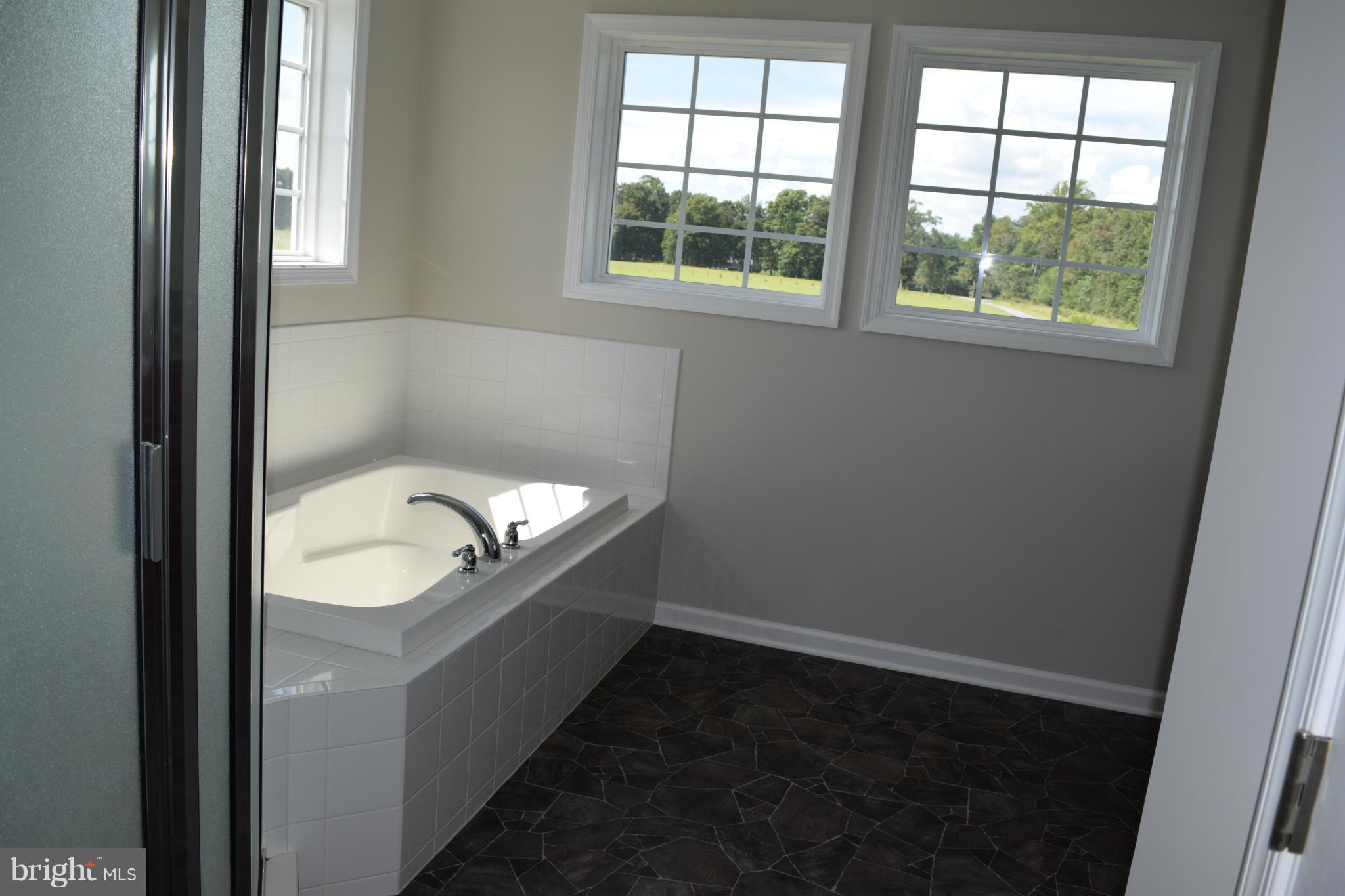 23065 Briscoe Farm Lane Ridgely, MD 21660 - Photo 22 of 27 Bath (Master)