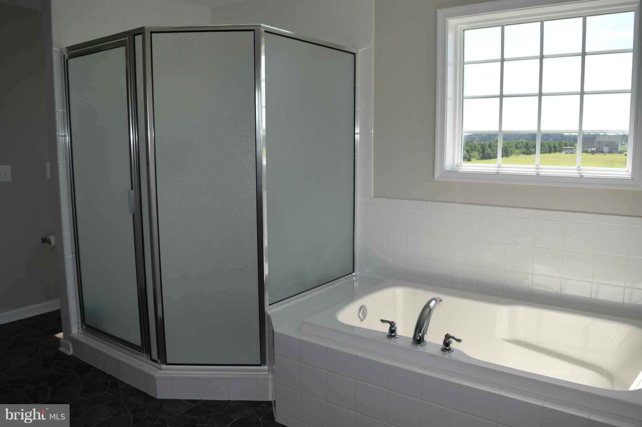 23065 Briscoe Farm Lane Ridgely, MD 21660 - Photo 23 of 27 Bath (Master)
