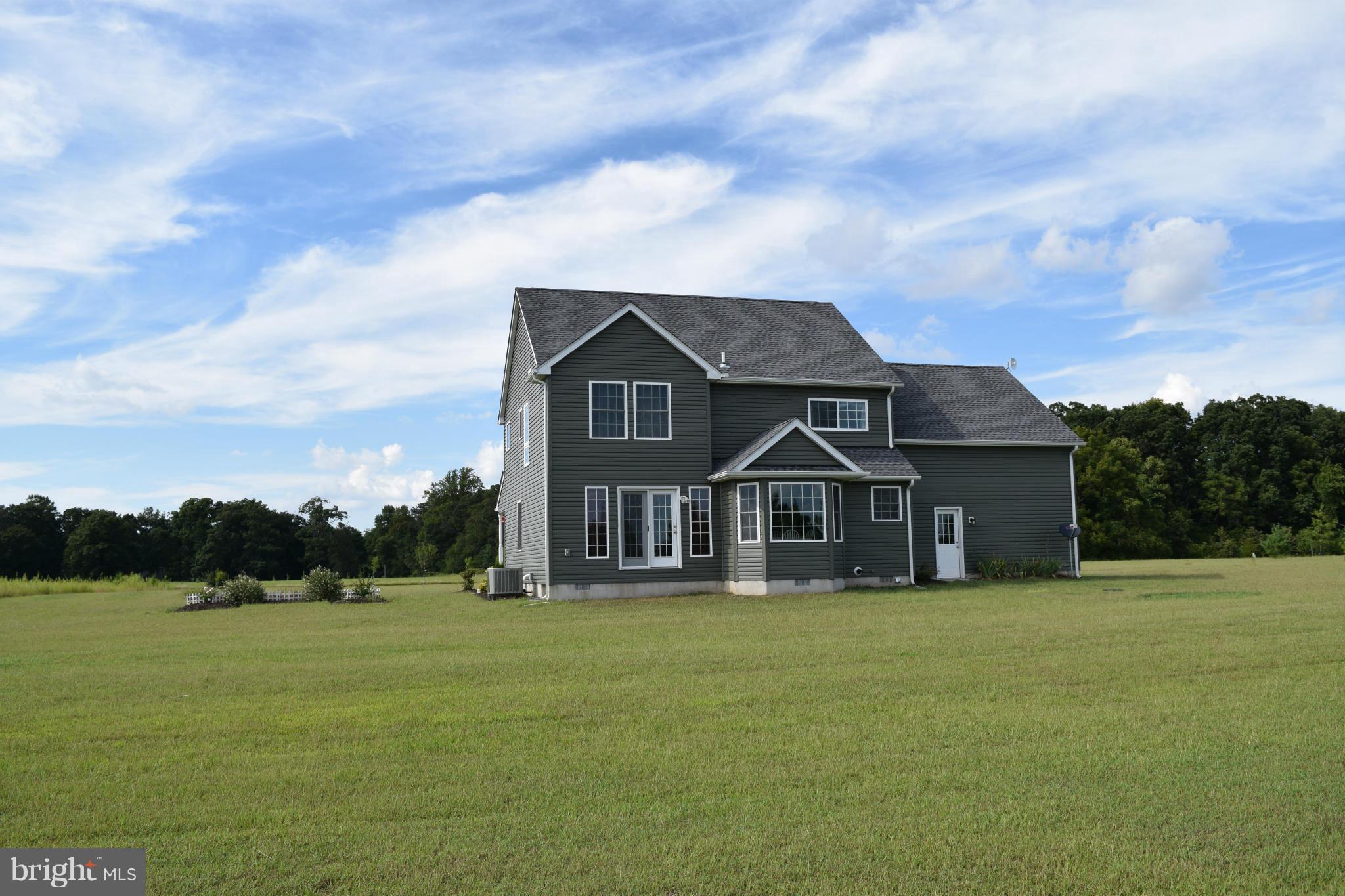 23065 Briscoe Farm Lane Ridgely, MD 21660 - Photo 4 of 27 Exterior (Rear)