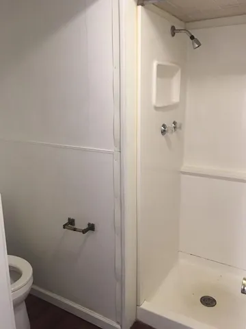 a bathroom with a shower and toilet