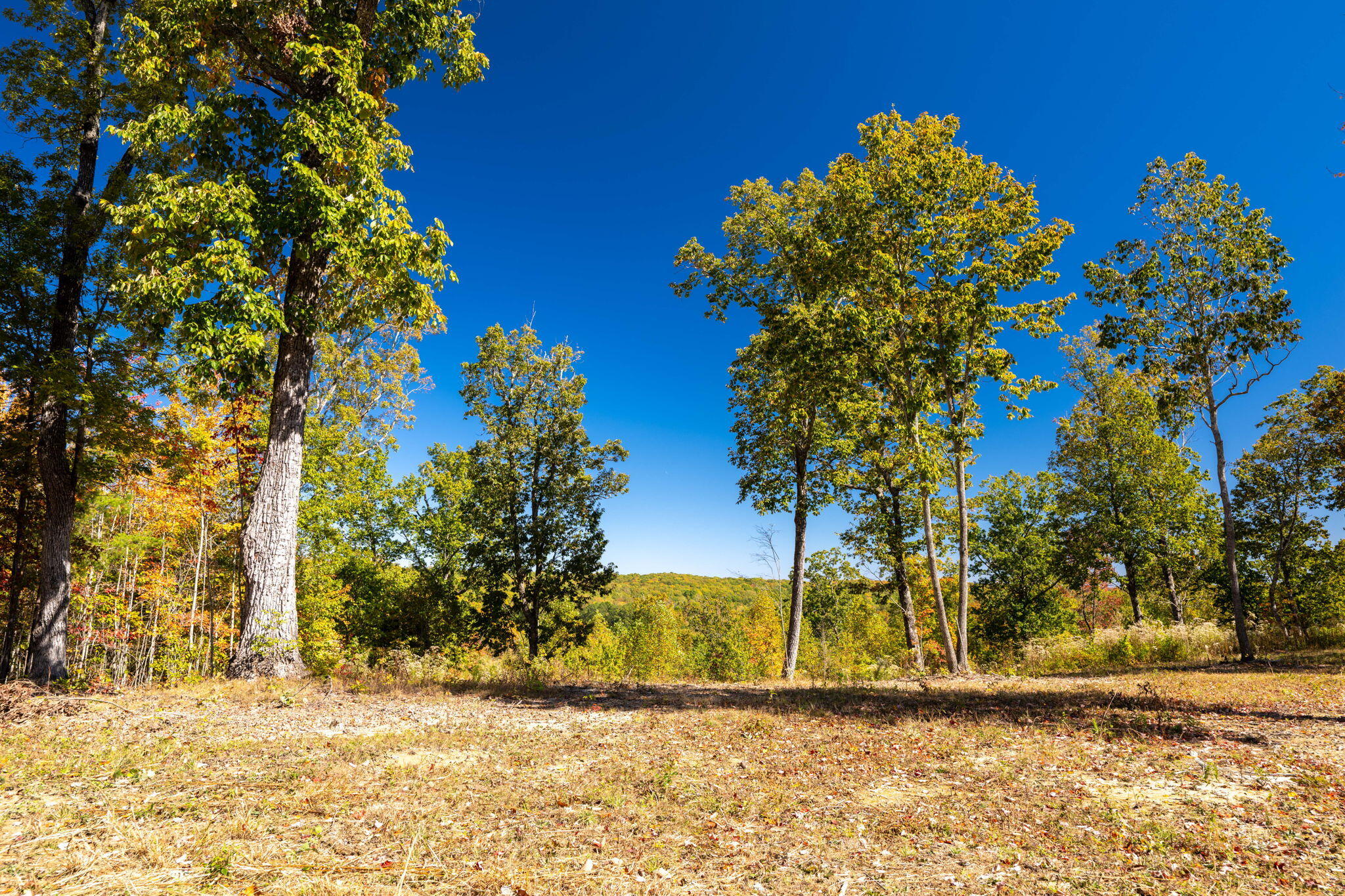 482 Coke Bowman Road Soddy-Daisy, TN 37379 - Photo 10 of 27 23-web-or-mls-DSC_5839-140
