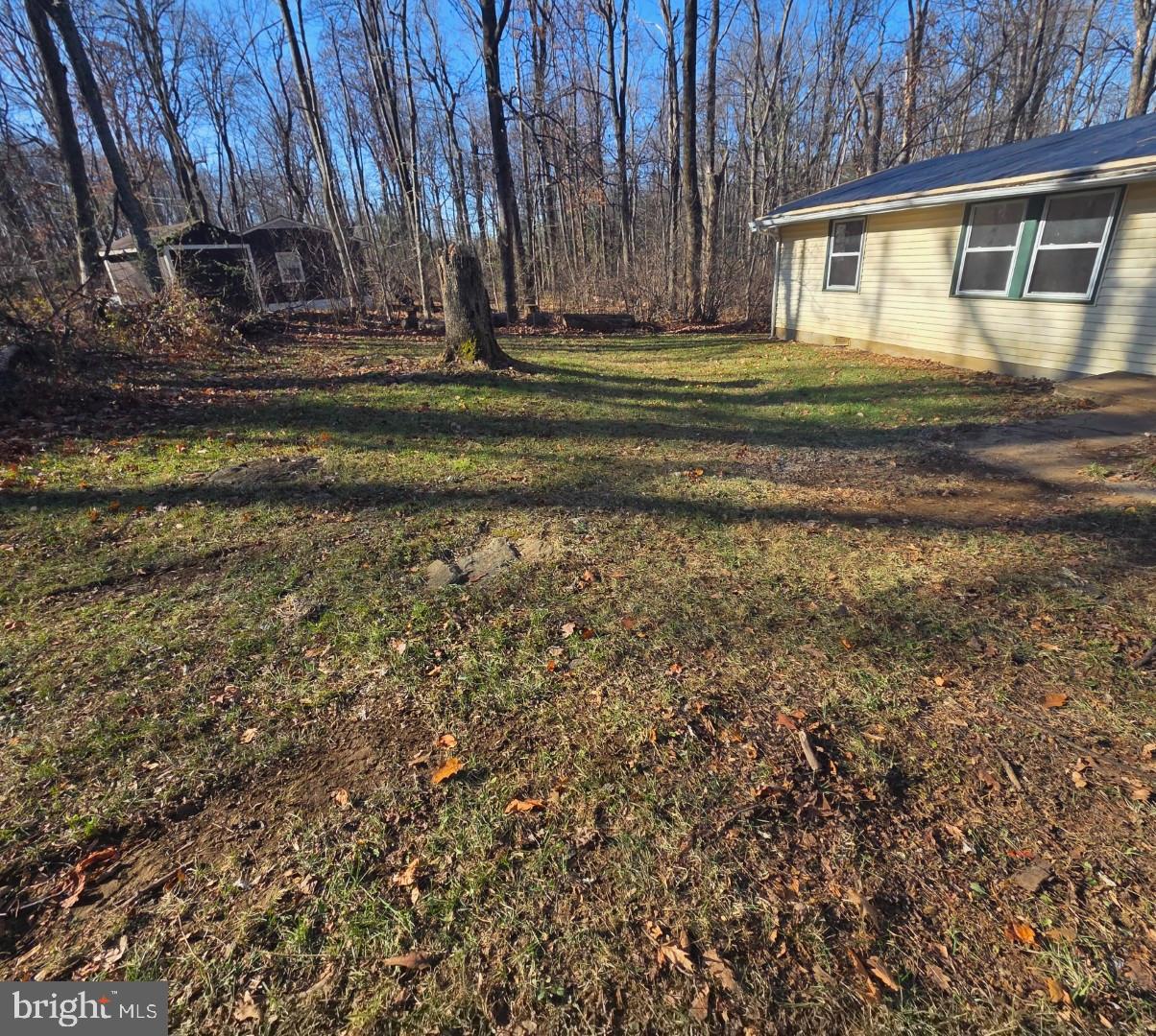 3717 Freezeland Road Linden, VA 22642 - Photo 4 of 23