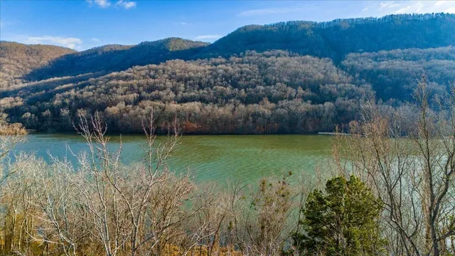 a view of a lake with a mountain in the background