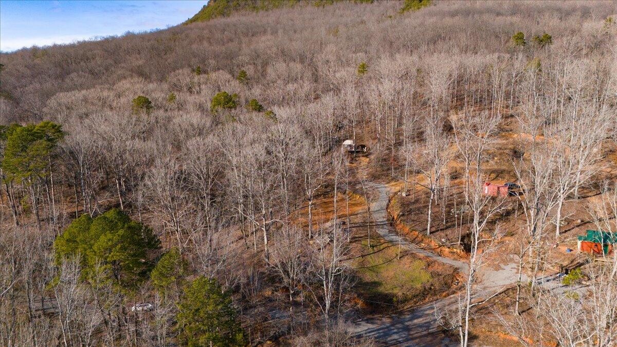 0 Mullins Cove Road Whitwell, TN 37397 - Photo 5 of 6 a view of a dry yard