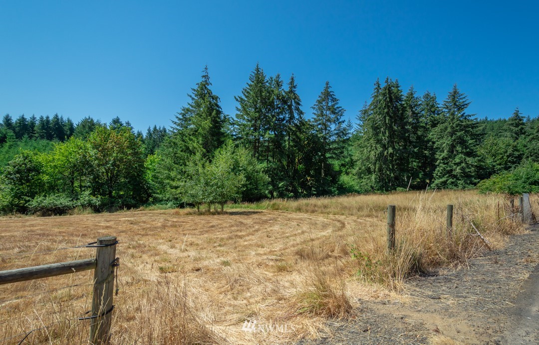 0 Guiberson Road Winlock, WA 98596 - Photo 2 of 14