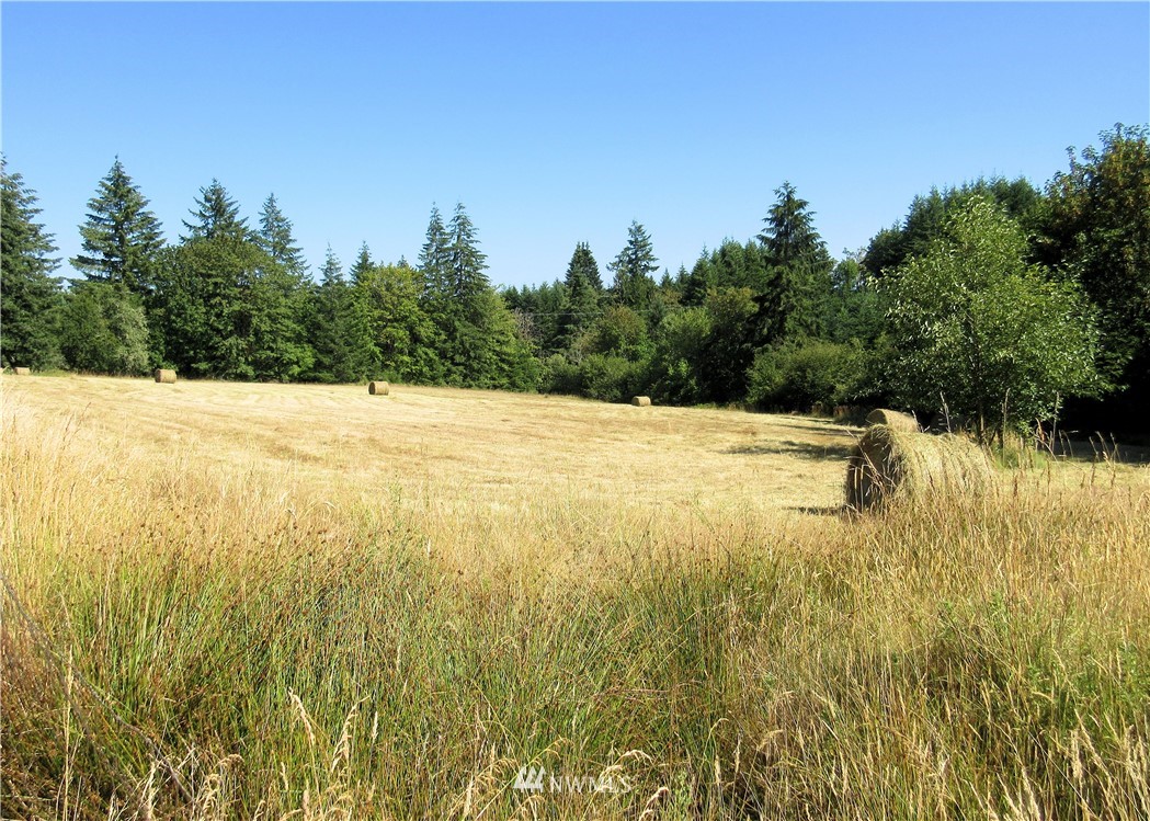 0 Guiberson Road Winlock, WA 98596 - Photo 3 of 14