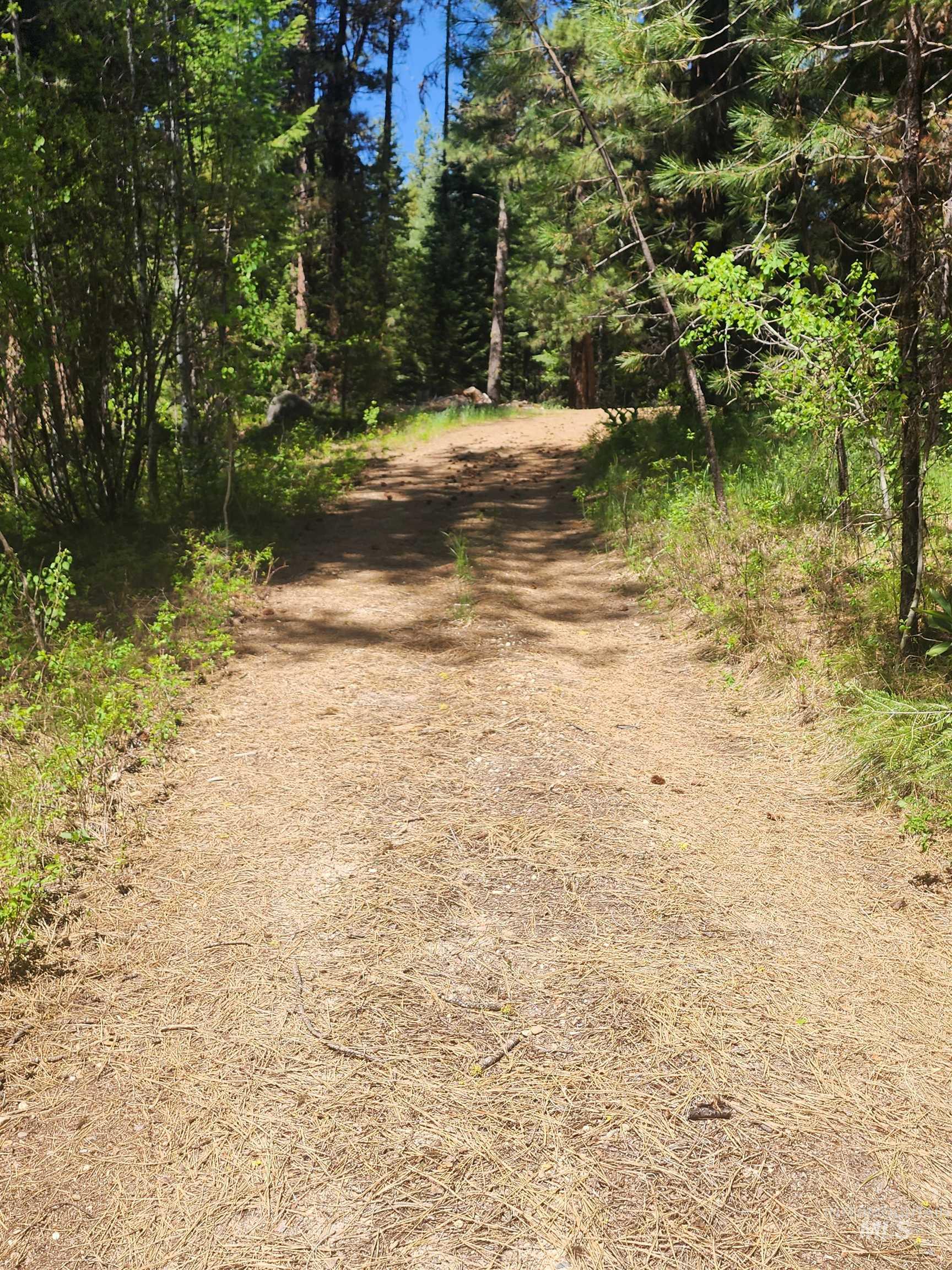 9544 Packer John Road Cascade, ID 83611 - Photo 4 of 10