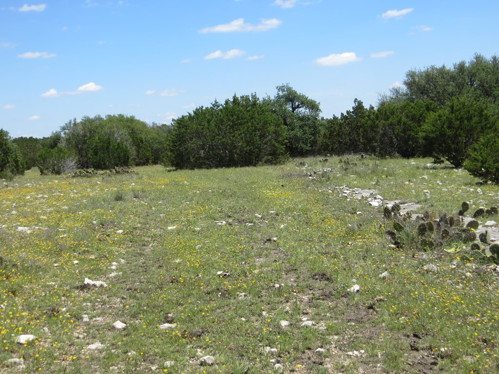 24 Kc 24 Junction, TX 76849 - Photo 12 of 23 a view of outdoor space and yard