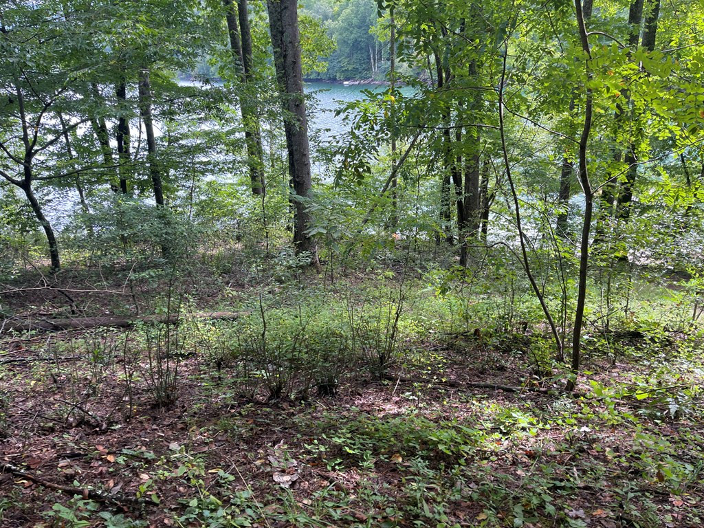 230 Walnut Tree Lane Topton, NC 28781 - Photo 33 of 37