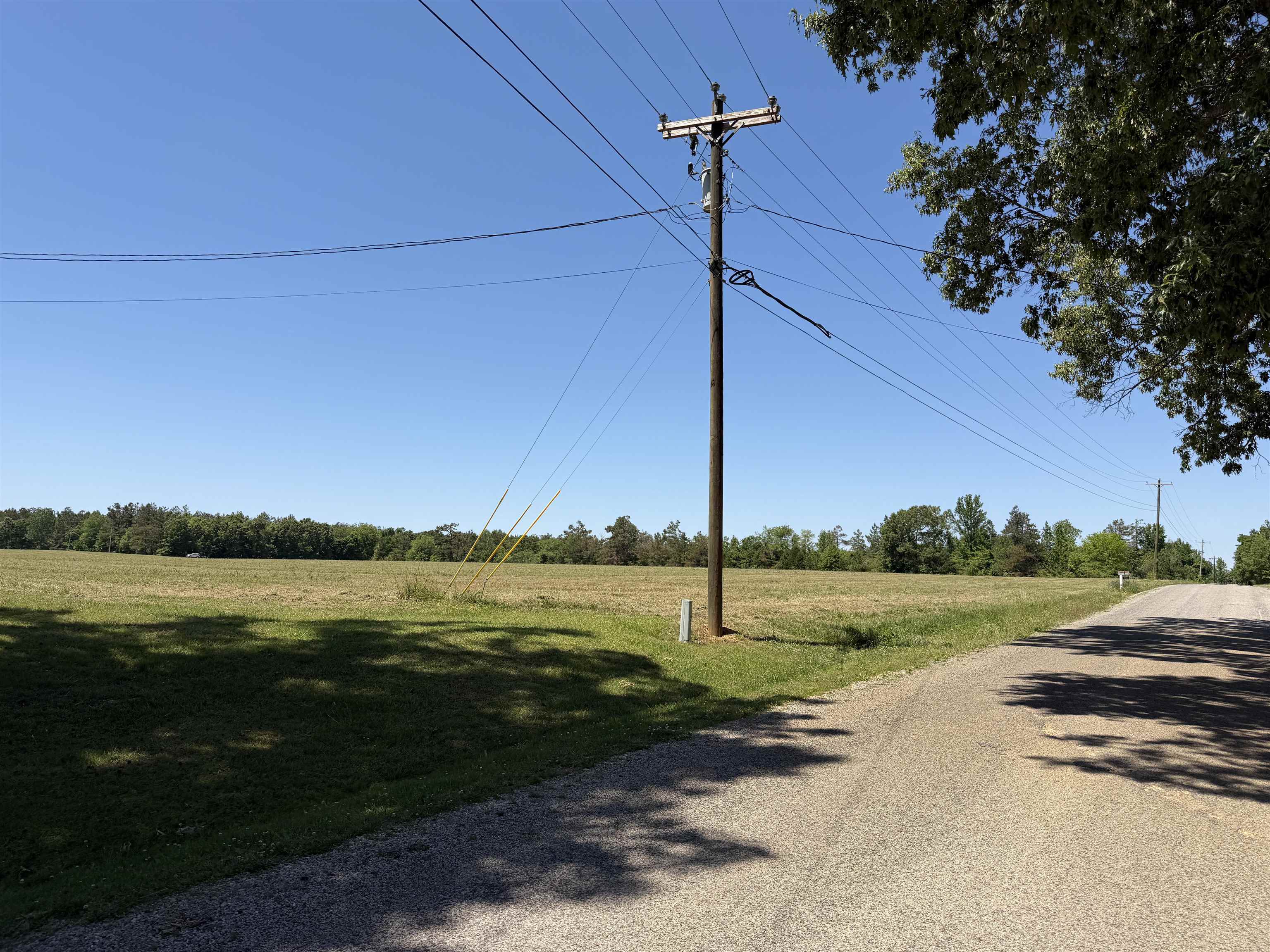 7 Bethlehem Road Adamsville, TN 38310 - Photo 6 of 9