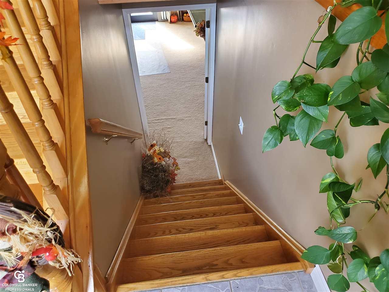 14081 Jeddo Road Yale, MI 48097 - Photo 26 of 45 Stairs to Lower Level
