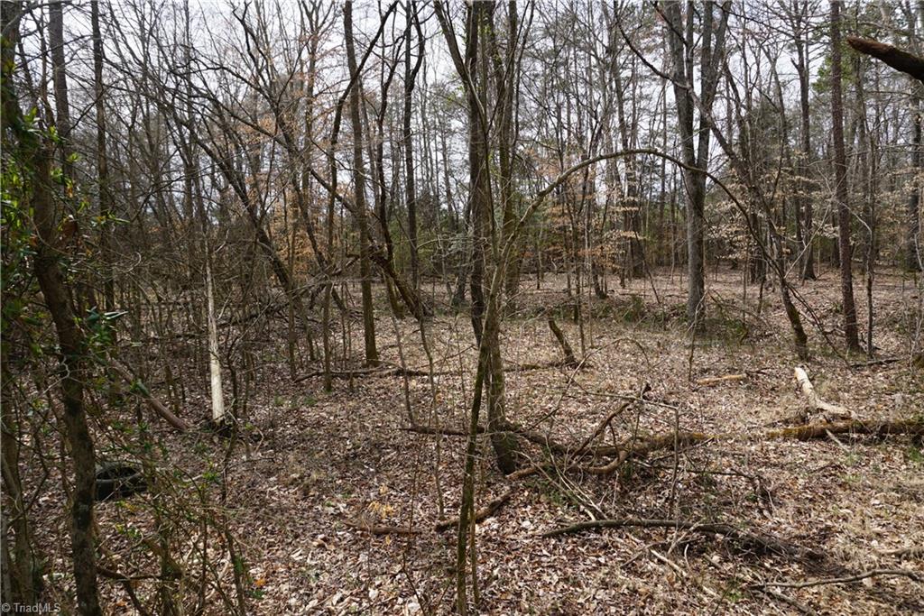 1 Wyo Road Mocksville, NC 27028 - Photo 2 of 18 Gallery Image 2