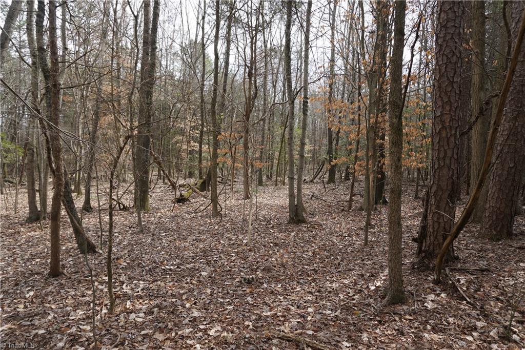 1 Wyo Road Mocksville, NC 27028 - Photo 13 of 18 Gallery Image 13