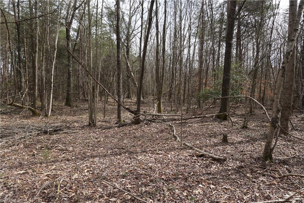 1 Wyo Road Mocksville, NC 27028 - Photo 14 of 18 Gallery Image 14