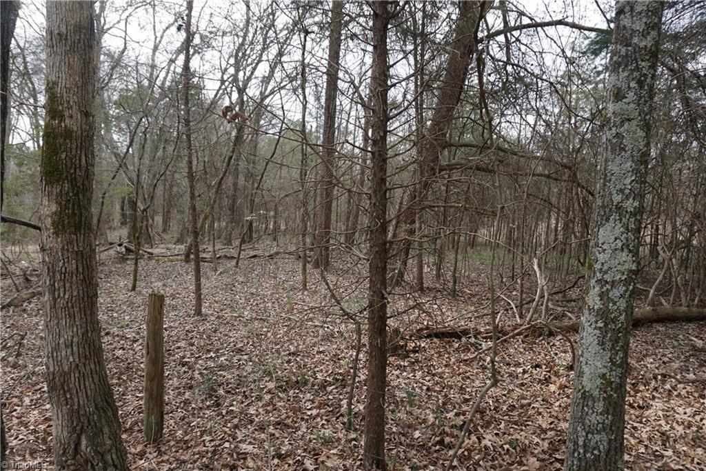 1 Wyo Road Mocksville, NC 27028 - Photo 15 of 18 Gallery Image 15