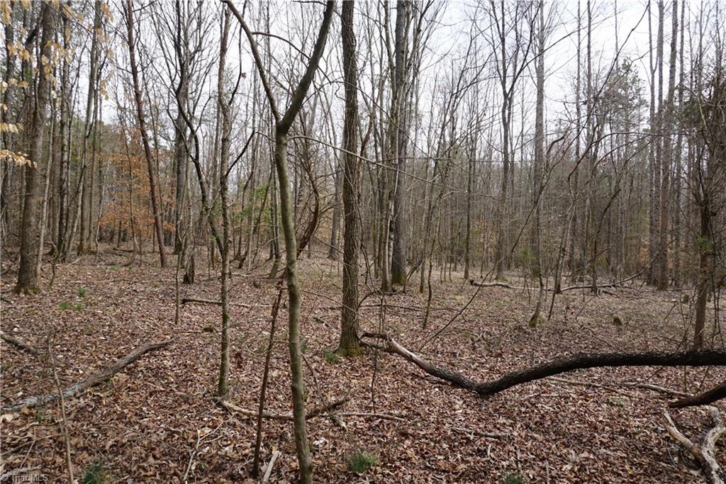 1 Wyo Road Mocksville, NC 27028 - Photo 16 of 18 Gallery Image 16