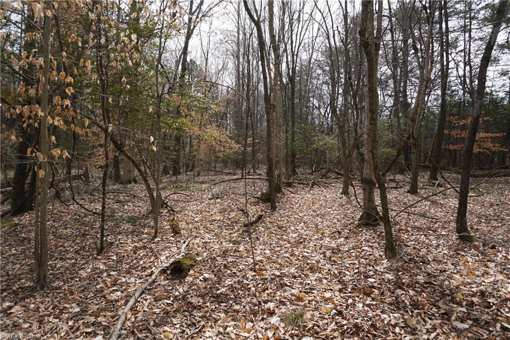 1 Wyo Road Mocksville, NC 27028 - Photo 3 of 18 Gallery Image 3
