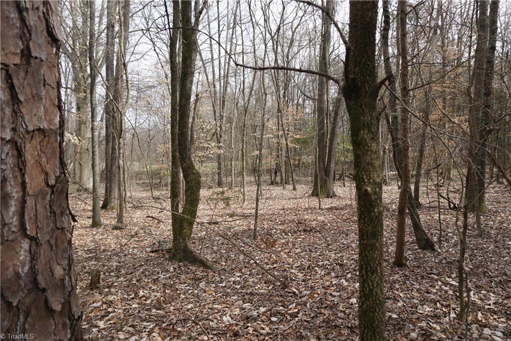 1 Wyo Road Mocksville, NC 27028 - Photo 4 of 18 Gallery Image 4