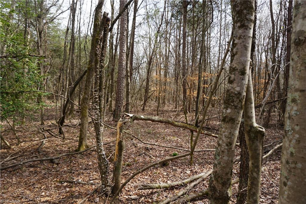 1 Wyo Road Mocksville, NC 27028 - Photo 5 of 18 Gallery Image 5