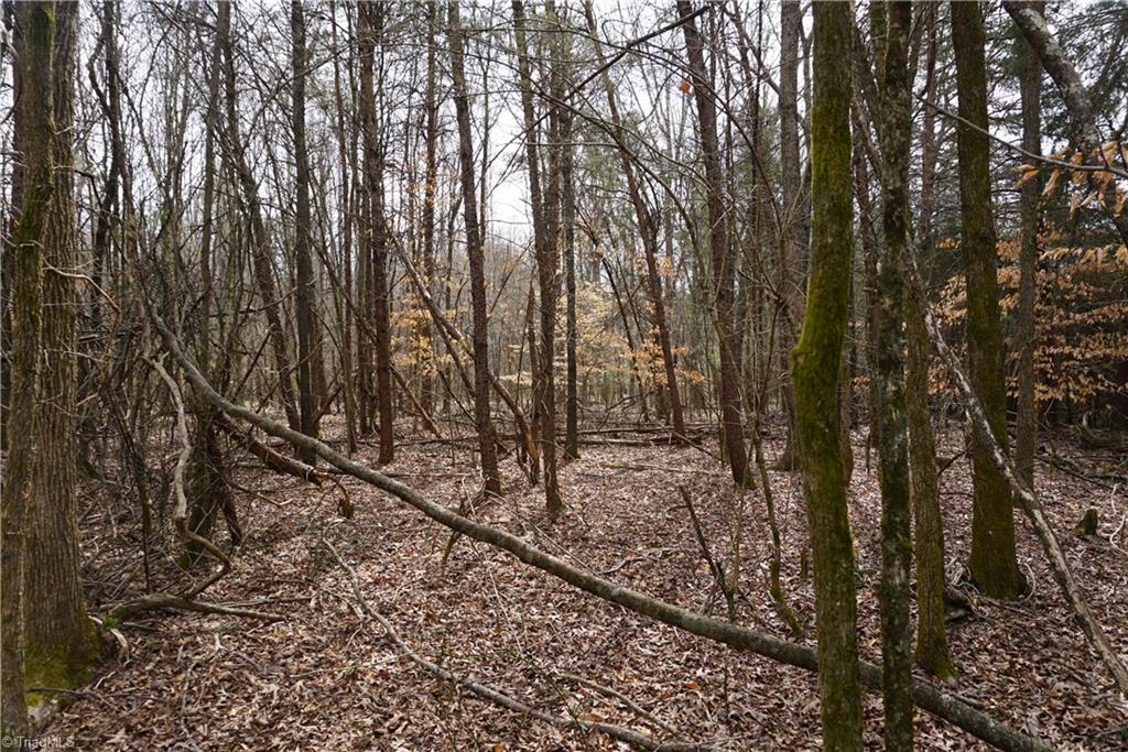 1 Wyo Road Mocksville, NC 27028 - Photo 6 of 18 Gallery Image 6
