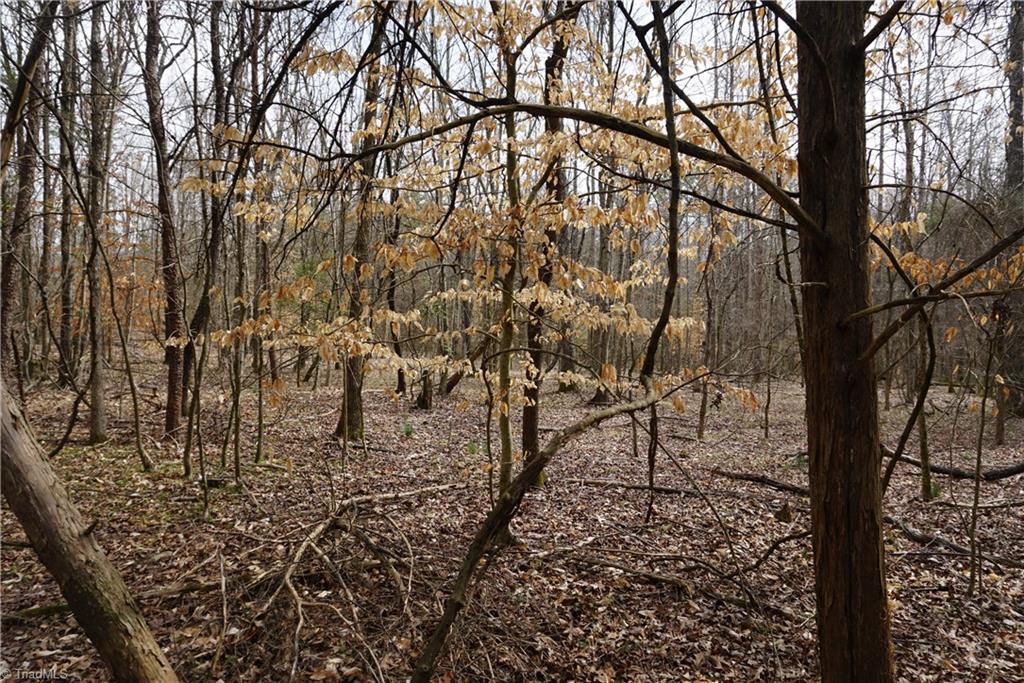 1 Wyo Road Mocksville, NC 27028 - Photo 7 of 18 Gallery Image 7