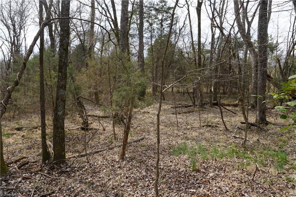 1 Wyo Road Mocksville, NC 27028 - Photo 8 of 18 Gallery Image 8