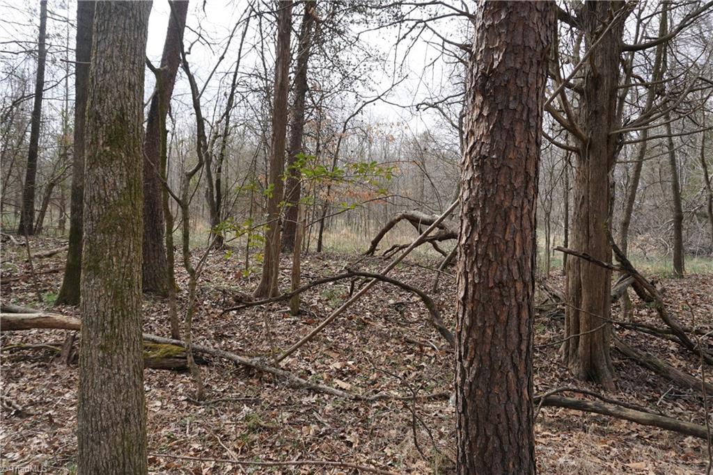 1 Wyo Road Mocksville, NC 27028 - Photo 9 of 18 Gallery Image 9