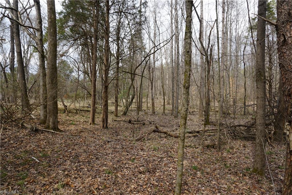 1 Wyo Road Mocksville, NC 27028 - Photo 10 of 18 Gallery Image 10