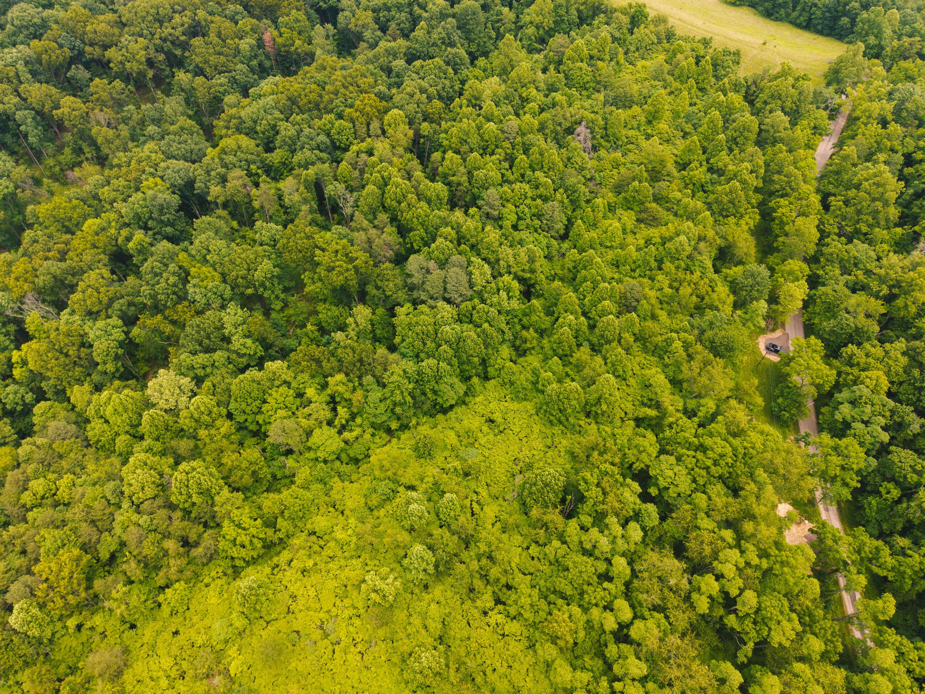 0 Unger Road, Unit LOT F Logan, OH 43138 - Photo 8 of 14