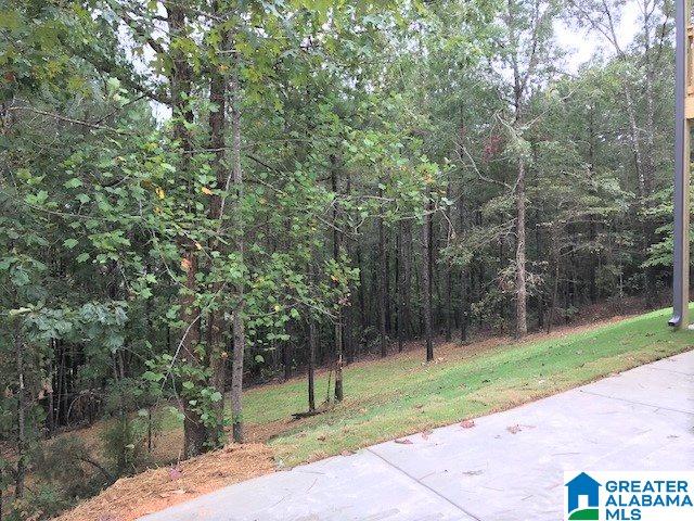 561 Whitetail Run Chelsea, AL 35043 - Photo 3 of 17