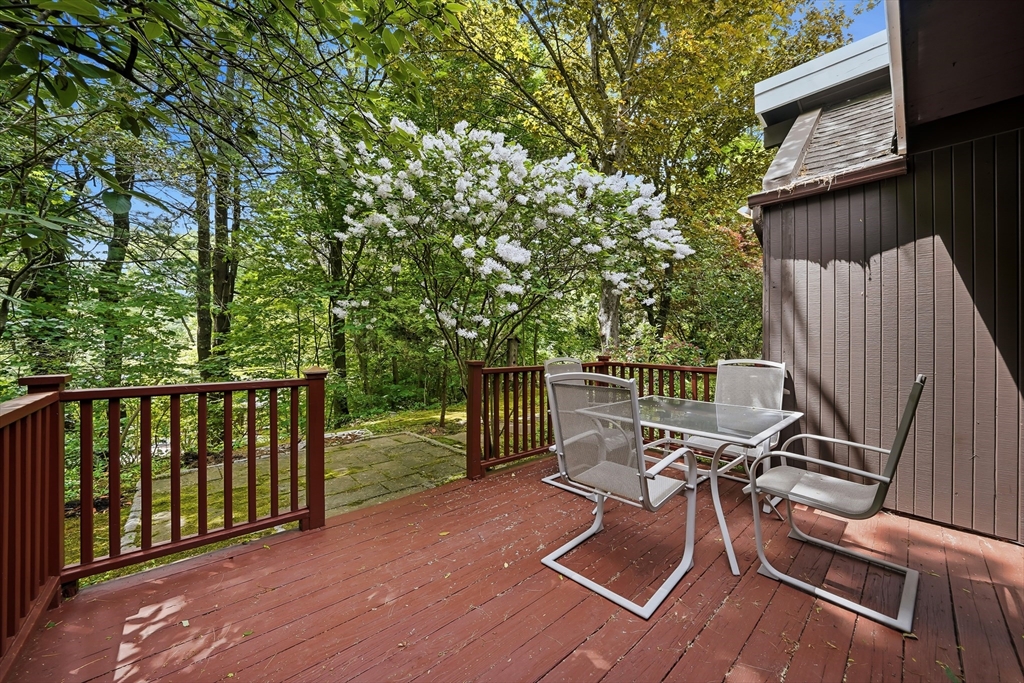 6 Angier Road Lexington, MA 02420 - Photo 41 of 42