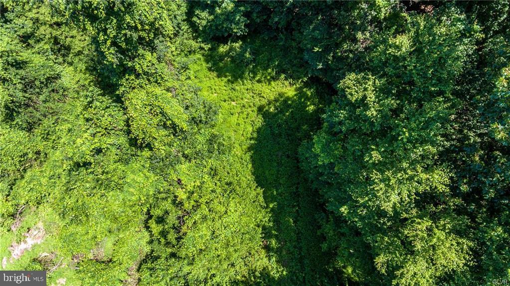 0 Springtown Road Hellertown, PA 18055 - Photo 4 of 4