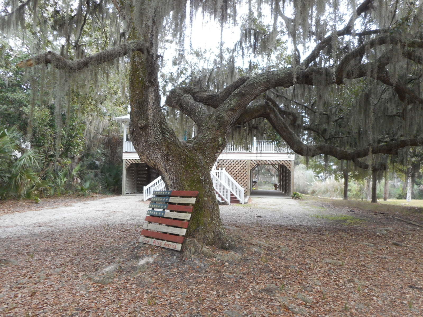 1306 Jungle Road Edisto Beach, SC 29438 - Photo 15 of 20 DSCN4269