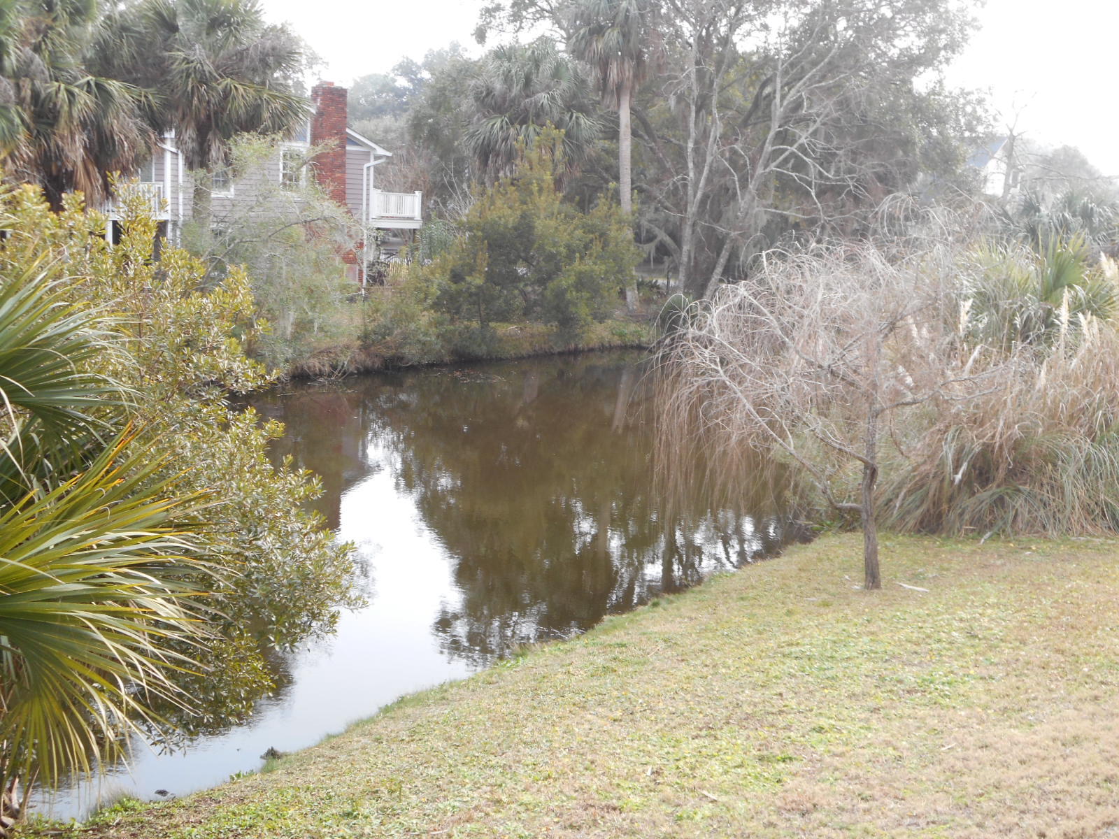 1306 Jungle Road Edisto Beach, SC 29438 - Photo 7 of 20 DSCN4272