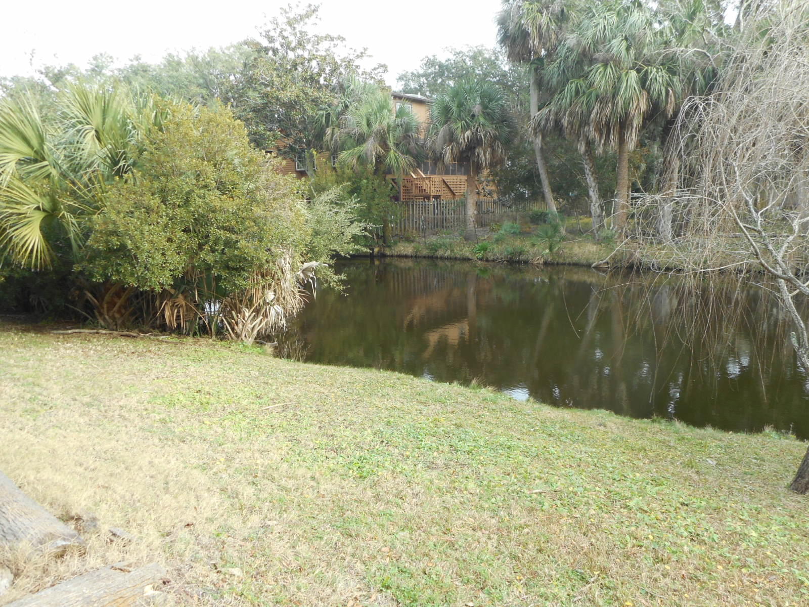 1306 Jungle Road Edisto Beach, SC 29438 - Photo 9 of 20 DSCN4274