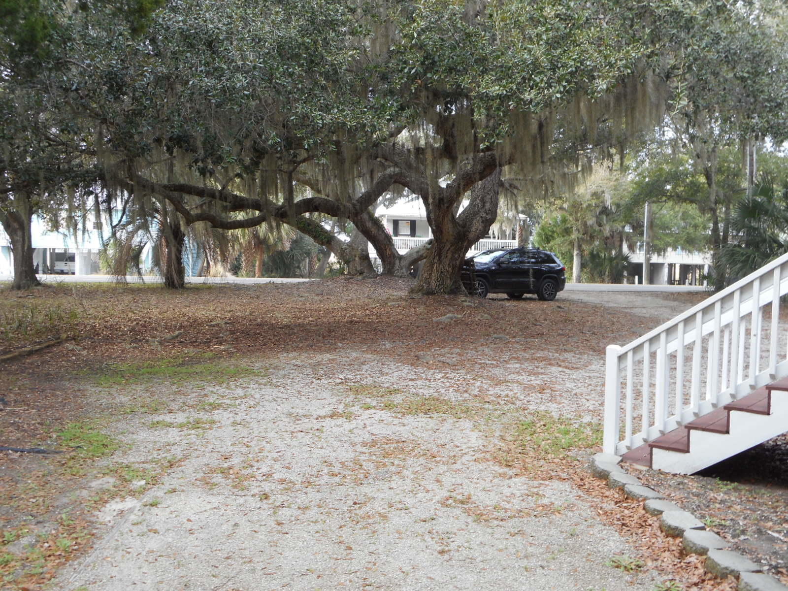1306 Jungle Road Edisto Beach, SC 29438 - Photo 10 of 20 DSCN4275