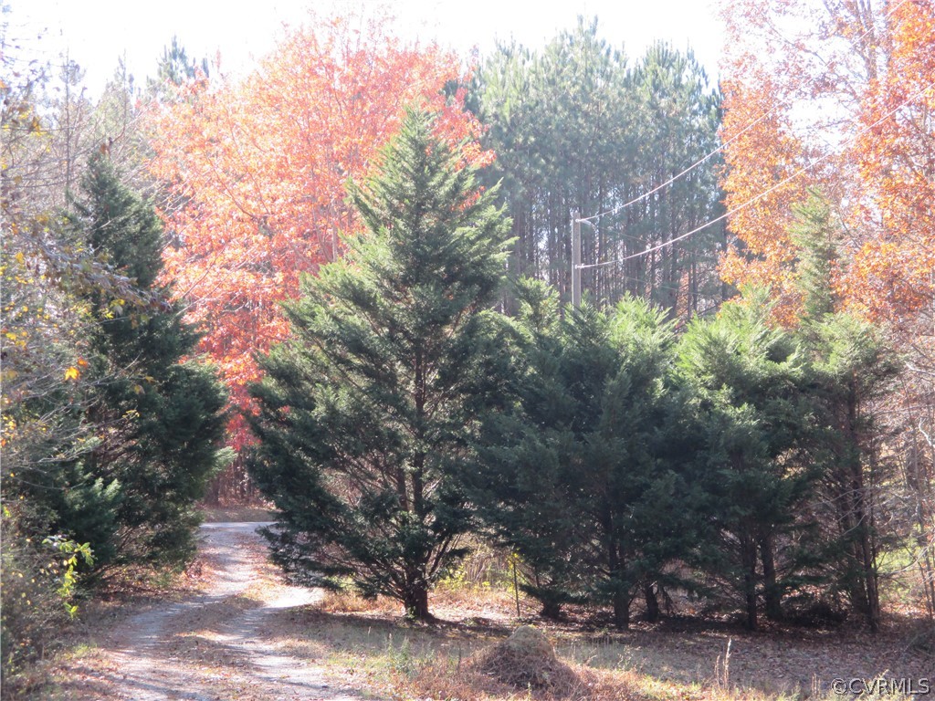 15825 Keelers Mill Road Dewitt, VA 23841 - Photo 12 of 46 Gallery Image 12