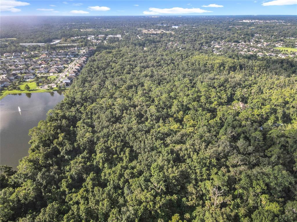 Panther Road Oviedo, FL 32765 - Photo 11 of 24 an aerial view of residential houses with outdoor space and trees