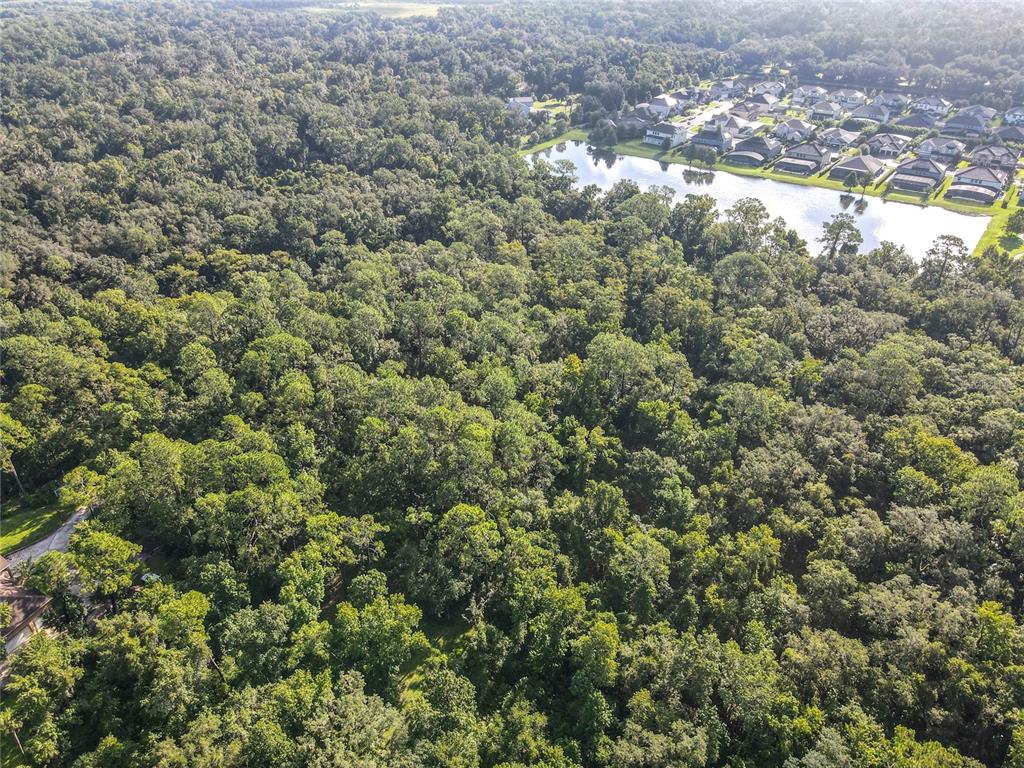 Panther Road Oviedo, FL 32765 - Photo 14 of 24 an aerial view of residential houses with outdoor space and trees